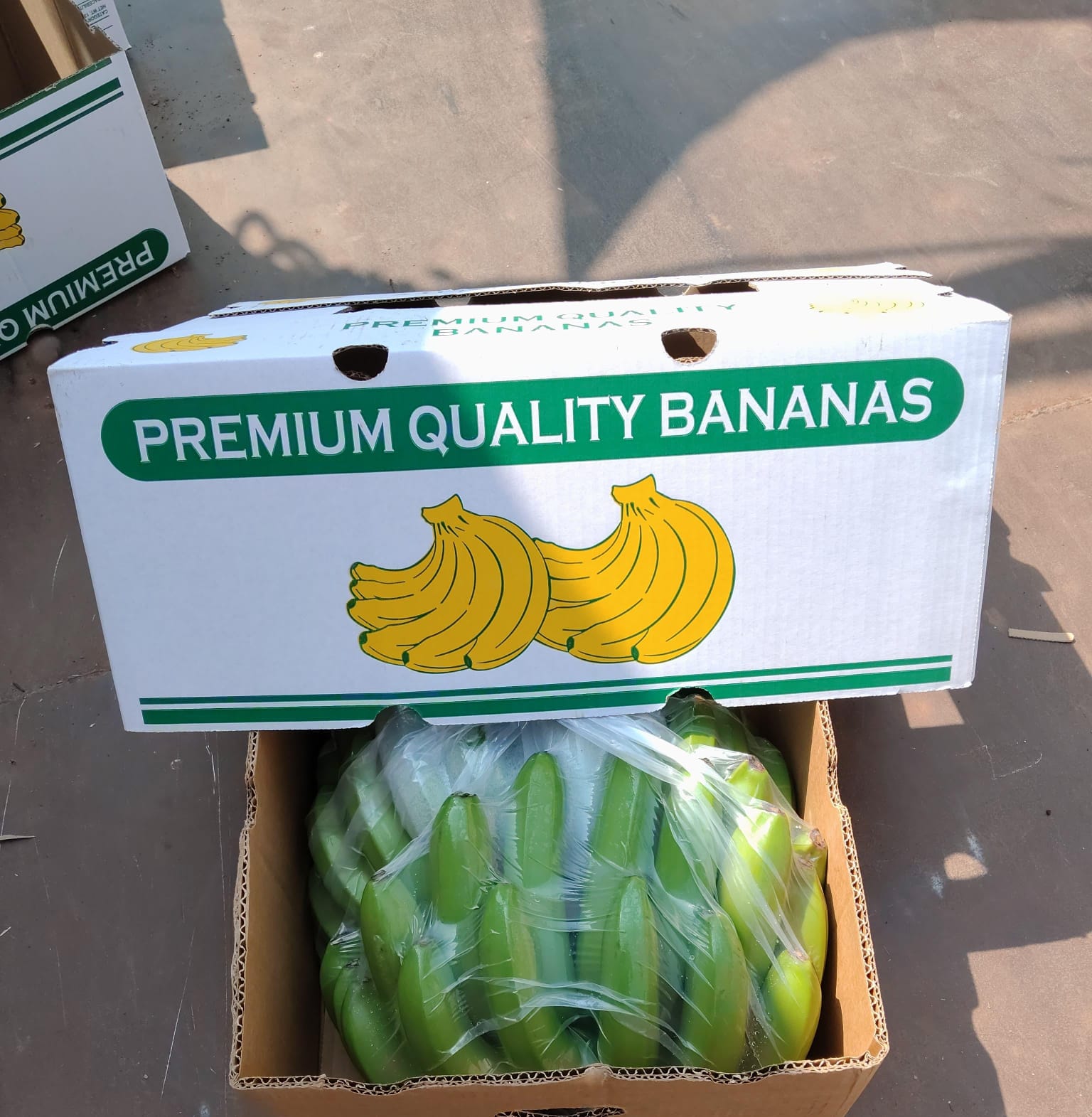 Quality Bananas